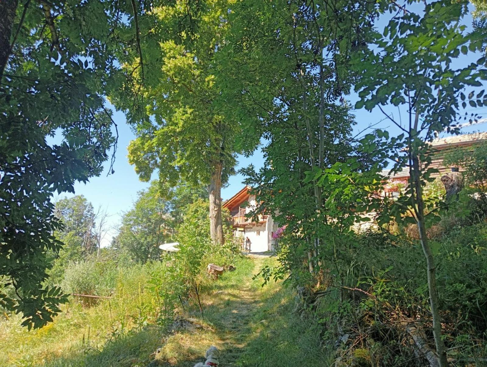 Home Sweet Home Antey-Saint-André Екстериор снимка